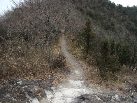 20140125hike (438)
